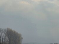 Deichpfleger  iPhone 17 Pro Max   - 09.11.2025 -