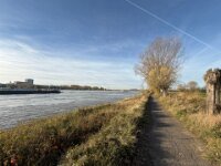 Am Rhein entlang  iPhone 17 Pro Max   - 06.11.2025 -