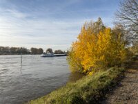 Bunte Ufer  iPhone 17 Pro Max   - 06.11.2025 -