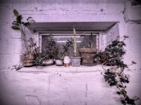 Augenblicke 2025 - 2026