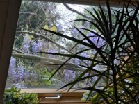 Fensterblick bei Regen  iPhone 13 Pro Max  - 24.04.2025 -