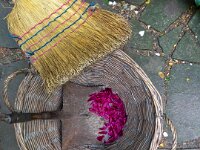 Blütenblätter im Korb  iPhone 13 Pro Max  - 23.05.2025 -