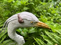 Kleine Schnecke auf dem Gartenreiher  iPhone 13 Pro Max  - 28.05.2025 -