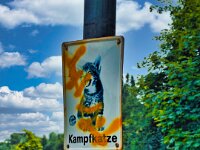 Kampfkatze  iPhone 13 Pro Max  - 11.06.2025 -