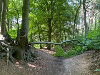 Sturmbruch  iPhone 13 Pro Max  - 04.07.2025 -