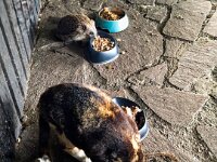 5.55Uhr - gemeinsam Frühstücken  iPhone 13 Pro Max  - 13.07.2025 -