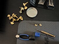 Die Guild berkommt Locking Tuners  iPhone 13 Pro Max  - 08.08.2025 -