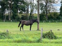 Fotogene Pose  iPhone 13 Pro Max  - 04.09.2025 -