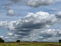 Bislicher Insel  iPhone 13 Pro Max  - 04.09.2025 -