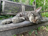 Struppi  iPhone 13 Pro Max  - 19.09.2025 -