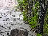 Besucherin  iPhone 13 Pro Max  - 15.09.2025 -