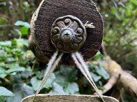 Erinnerung an Lilly  iPhone 13 Pro Max  - 27.09.2025 -