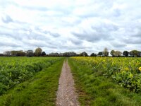 Feldweg  iPhone 17 Pro Max   - 17.10.2025  -