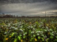 Winterfeld  iPhone 17 Pro Max   - 09.12.2025  -